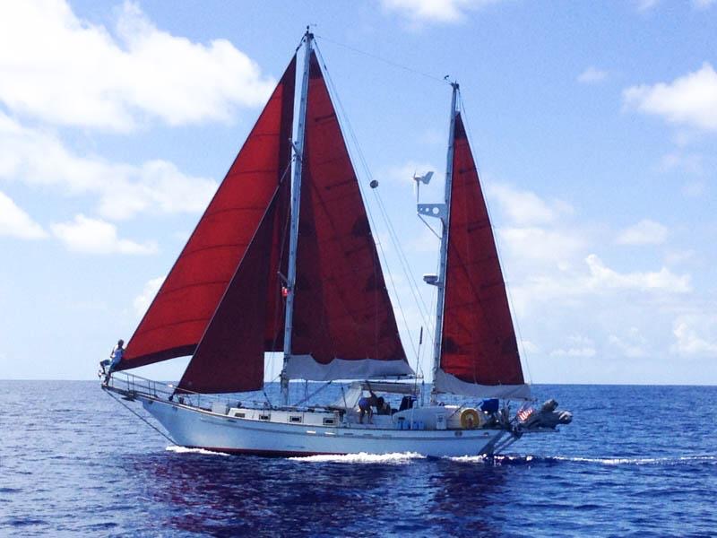 sailboats for sale fiji